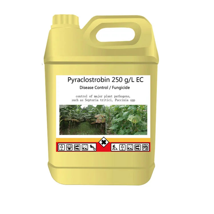 Быстрая доставка, защита сельскохозяйственных культур, бактерицид пираклостробин 250 г/л, производитель EC