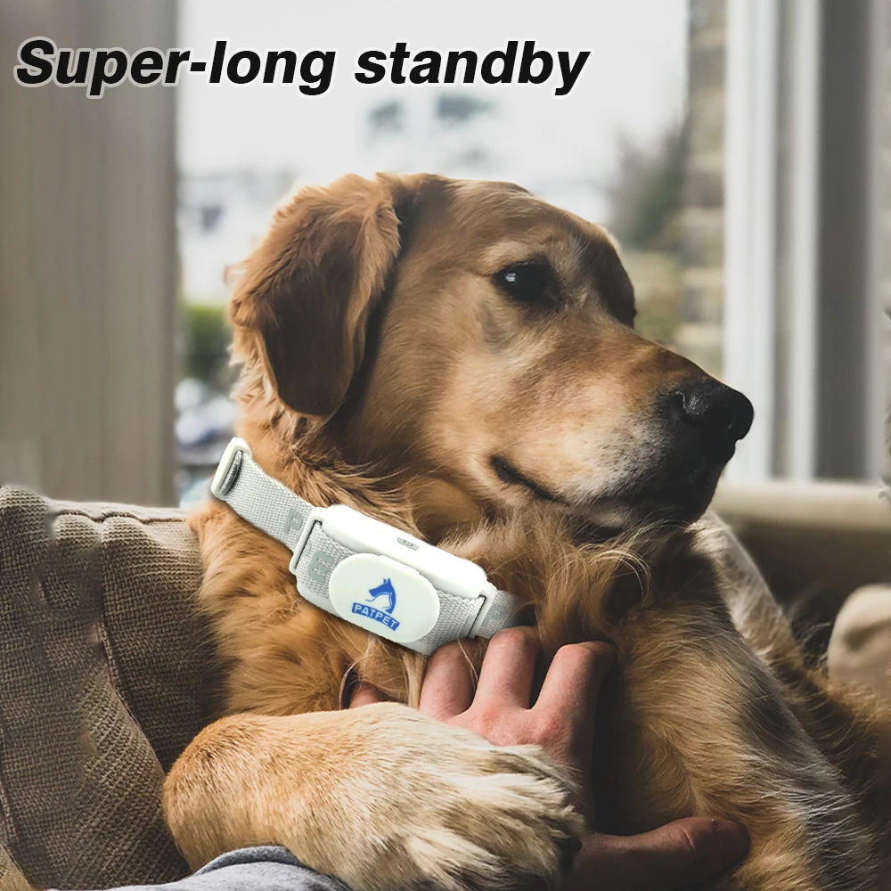Shenzhen PATPET factory anti barking device luxury dog collar custom