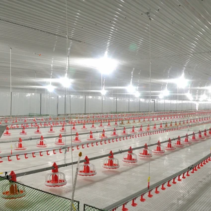 pp raw material poultry plastic slat floor for broiler farm pvc poultry slat flooring