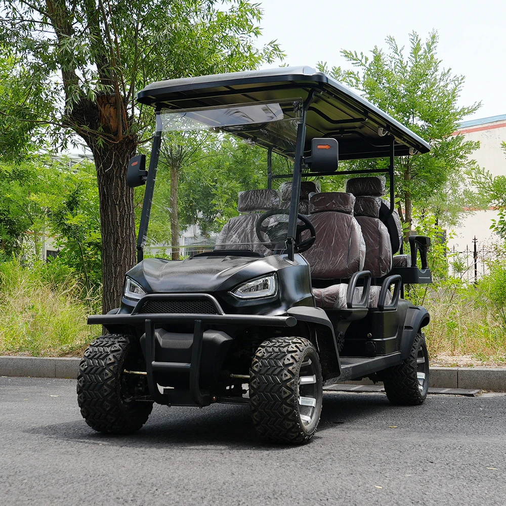 Professional Brand Electric Golf Buggy Cart with Meter High Quality Golf Carts