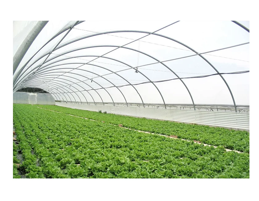 Tunnel Plastic /Flower Agricultural Single Span Plastic Tunnel Greenhouse/PE Flim Greenhouse For Vegetables