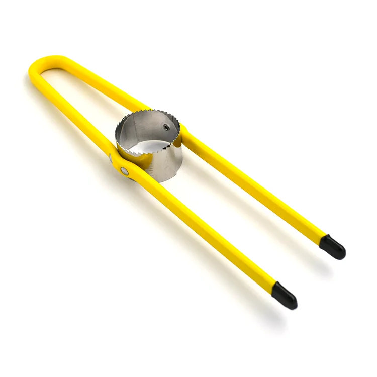 Stainless Steel Cob Remover Tools Manual With Plastic Handle Cob Cutter Corn Stripper Stripper Corn Cob Cutter