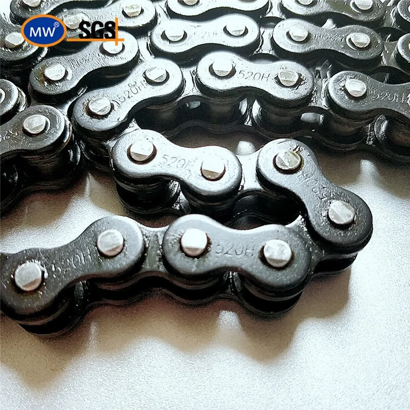 Motorcycle chain and sprocket
