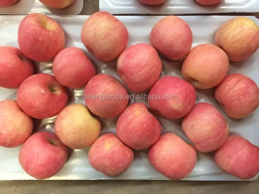 FRESH RED SWEET APPLES IMPORT WHOLESALE