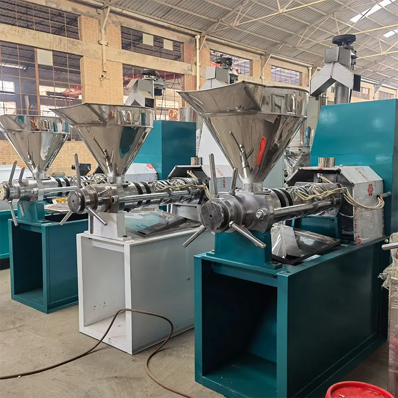 Automatic professional factory price peanut essential oil screw cold oil press machine production line