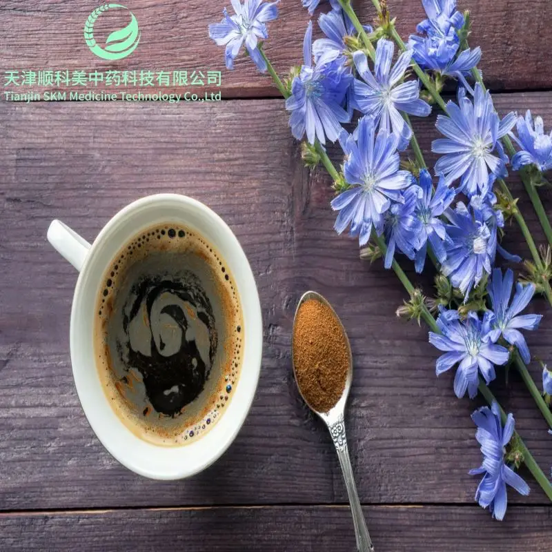 Best Seller Natural Herbal Root Powder Extract Chicory