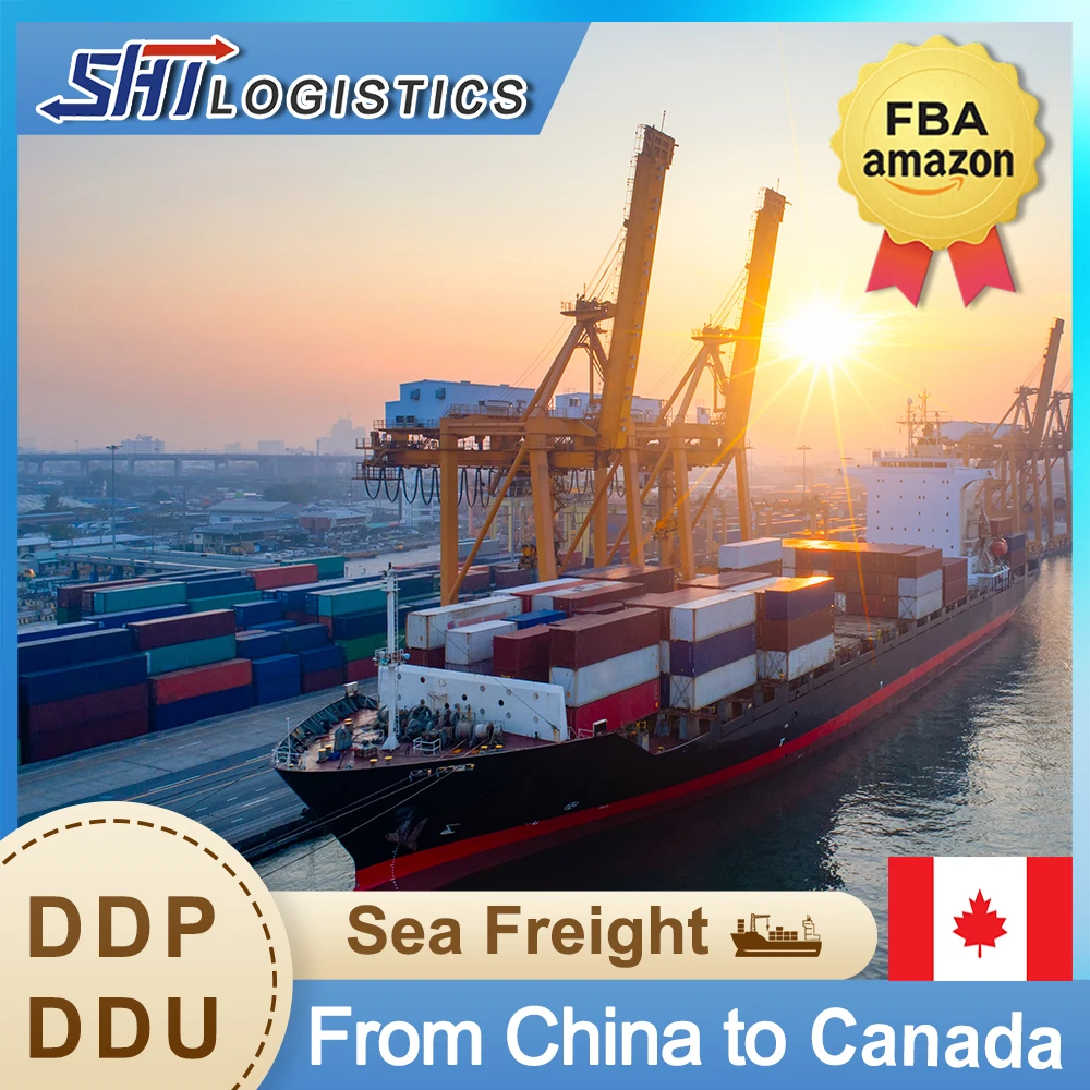 Shipping container Ddp shipping freight forwarder for cargo ships from China to USA Canada and UK