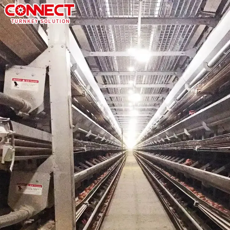 One Stop Service Poultry Chicken broiler battery Cage coop shed Growing Farming Raising husbandry equipment System Line For farm