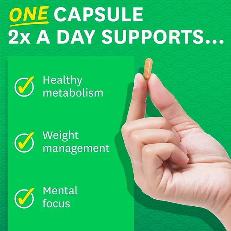 Oem Herbal Supplement Herb Tea Polyphenols 98% Green Tea Extract Green Tea Extract Capsule Fast