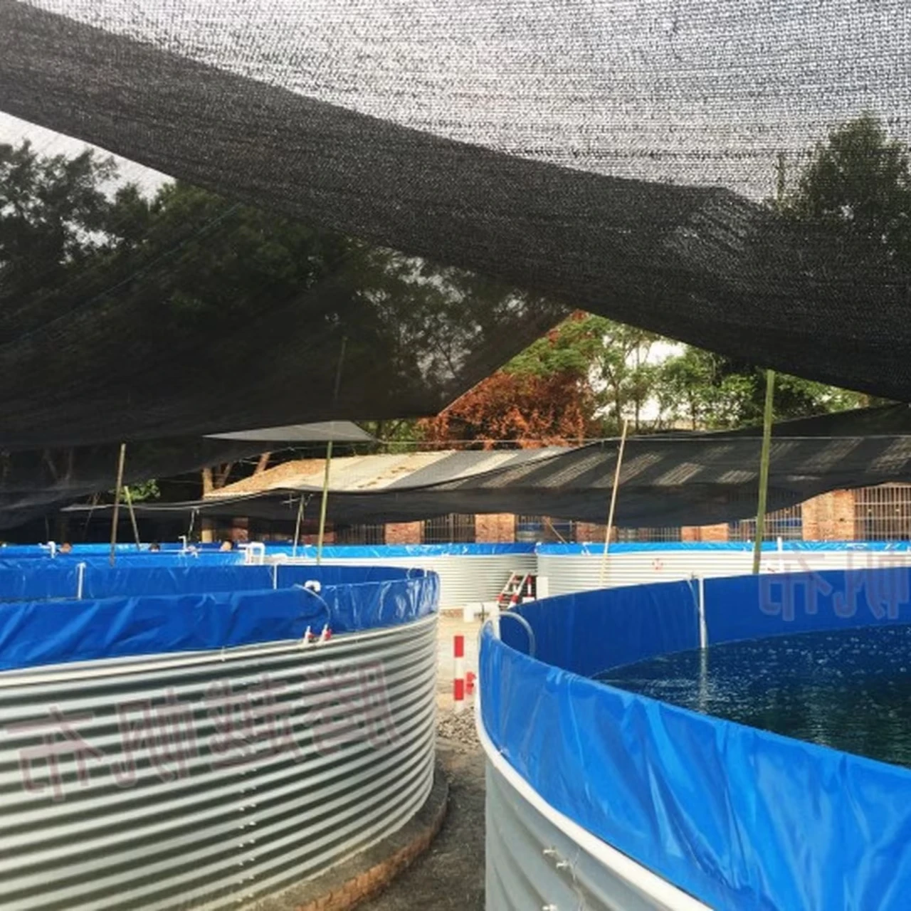 High Quality  Easy to Install Large Round PVC Tarpaulin Aquaculture Tilapia Ras System Fish  Farming Tank