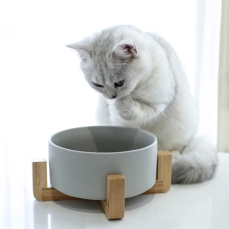 
Cat Dog Pet bowl Colorful Ceramic Bowl Food Feeder With Bamboo Fiber Frame 
