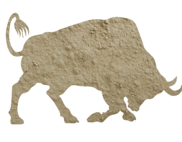 High Quality From China Yeast Manufacturer Beer Yeast Powder animal feed additive