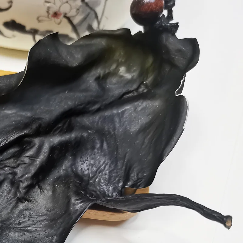 Wholesale dried seaweed Natural Products cut dried deep sea Kelp Head