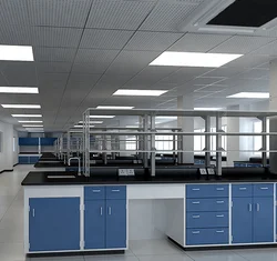 Customized Lab Equipment Laboratory Furniture PP Working Bench All-steel Workbench Lab Work Bench