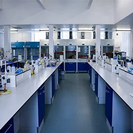 Manufacturer Supply Bulk Pigment Powder Chlorophyll Sodium Copper Chlorophyllin