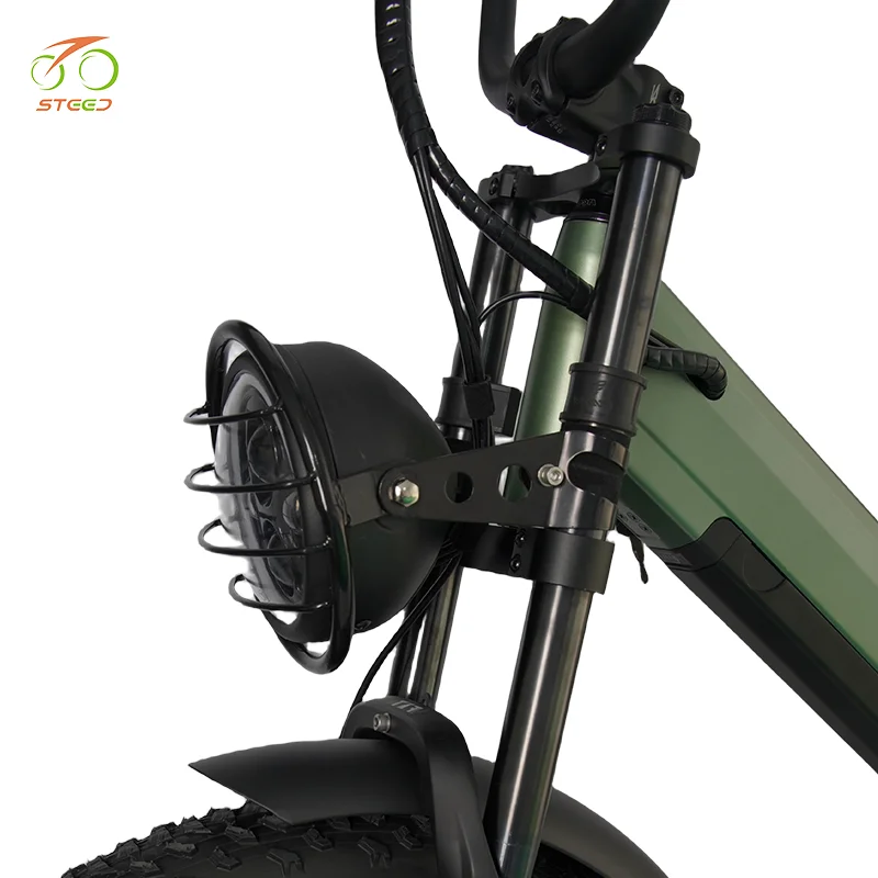 Steed e bikes rear 48v 1000w electric bicycle powerful 20 inch fat bike electric wheel