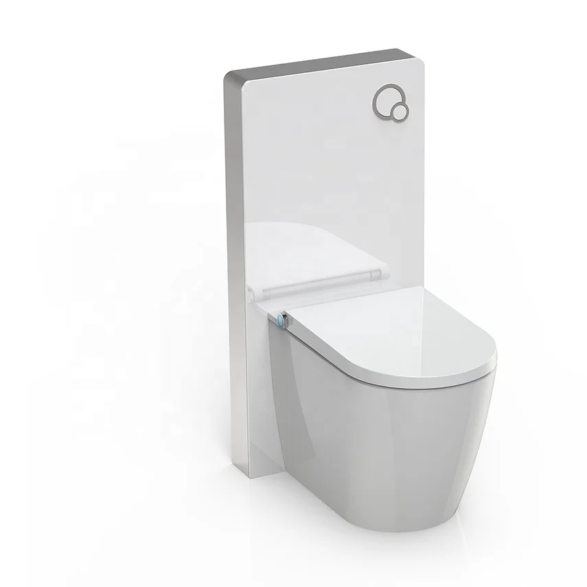 5 Star Hotel Bathroom Wash Down Cistern Dual Flushing Tempered Glass Cabinet Cistern