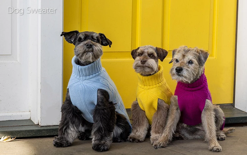 03dog sweaters.jpg