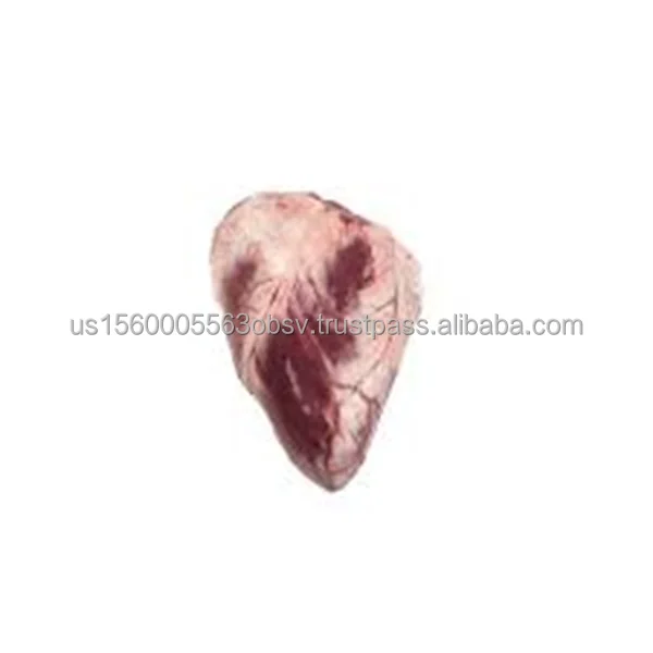 Frozen lamb heart for sale Quality lamb heart online
