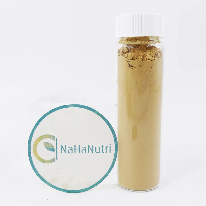 
Free sample Top Quality Natural Lions Mane Extract 