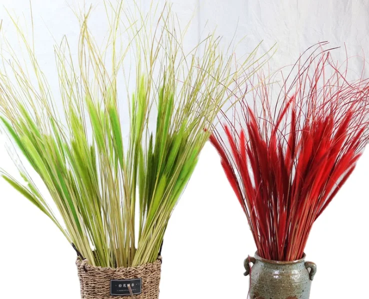 Dried natural Chinese pennisetum grass cat tail wolf tail feather grass, home decoration, floral arrangement