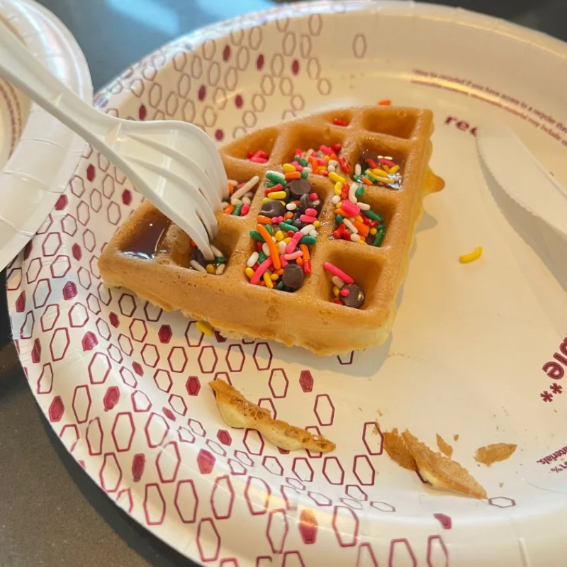 AT PACK Disposable Biodegradable Paper Plates and Cups For Hotels Airline Party Supplies Kits Events and Social Gatherings