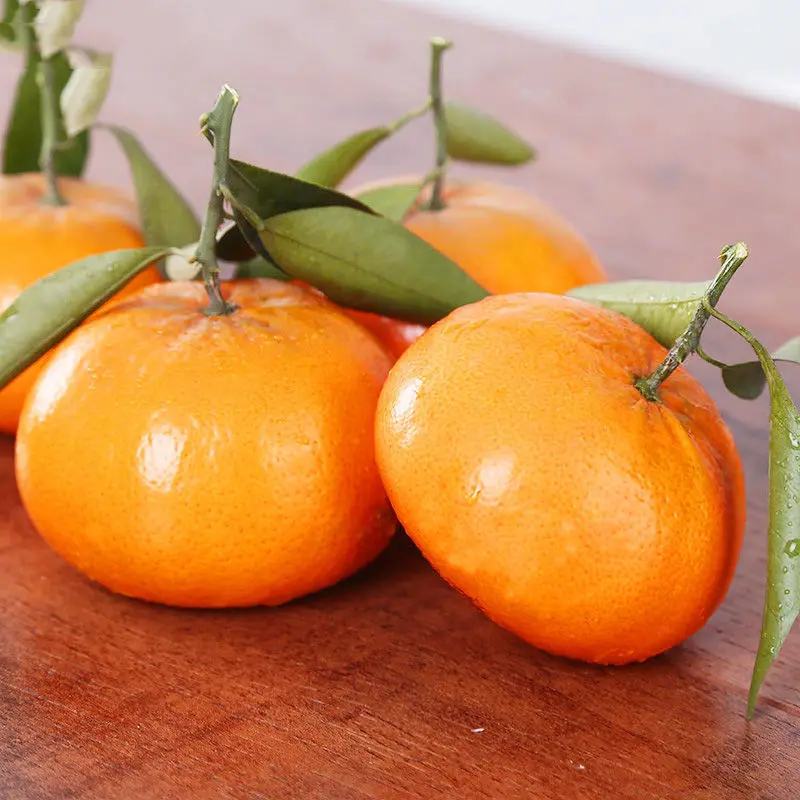 2022 Yunnan Fresh Fertile Orange Made in Yunnan Province  Rich in a variety of nutrients  China Exporters  Quality Wholesale