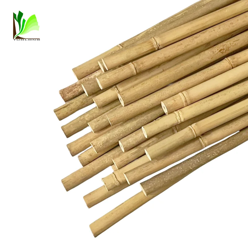 12-14mm  Dry Raw Bamboo Poles Stake for Plant Support