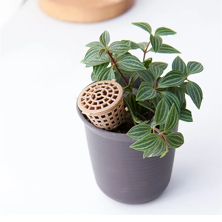 Wholesale bonsai potted plastic fertilizer box