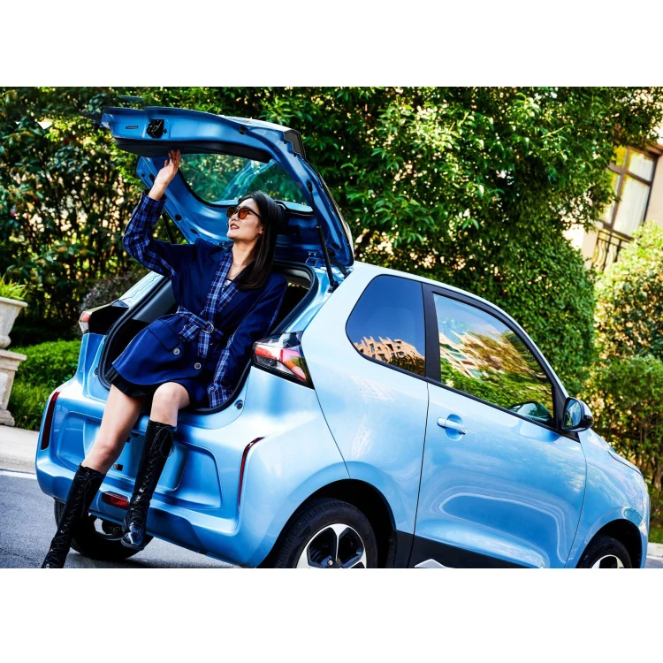 Pocco Meimei Adult High Speed 4 Wheels Electric Passenger Car New Energy Car Long Life Of Lithium Battery