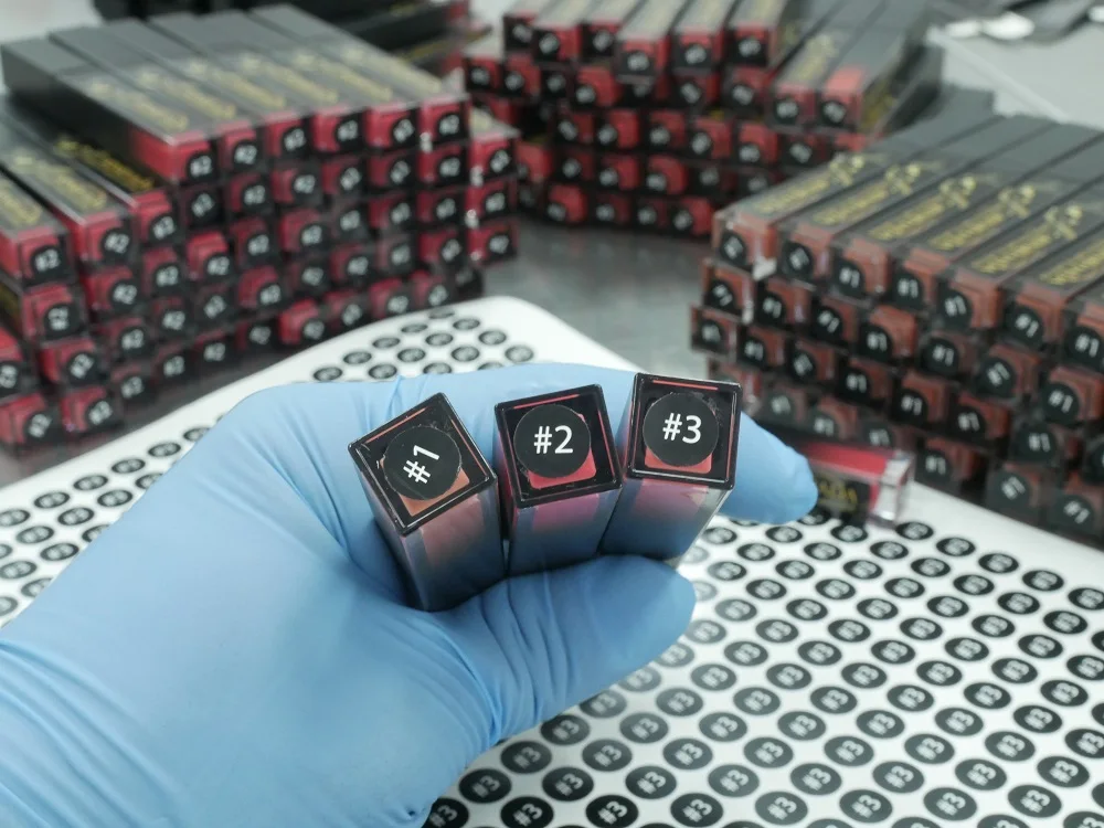 Rinrhada Matte Revolution Lipstick in Lost Cherry Long Lasting Waterproof Stay All Day Matte Lipstick No.4