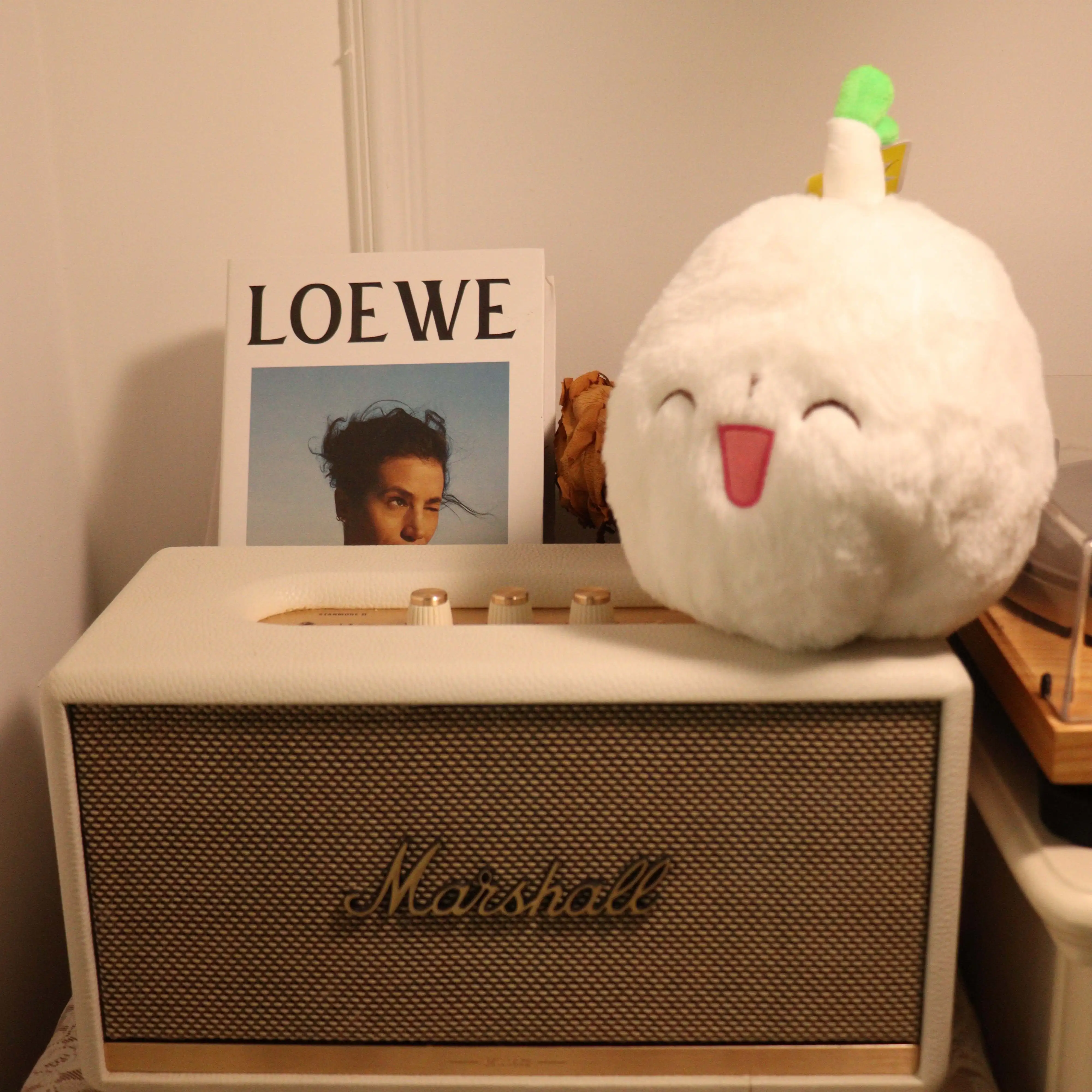 Hot Selling safe plush toy 2024 kawaii Garlic Duck christmas stuff toys plush toy