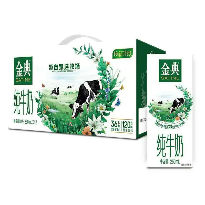 High Quality Hot Selling Delicious Fast Food Pure Milk