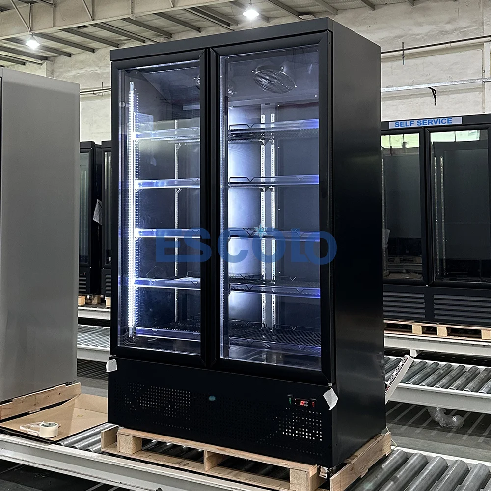 Premium Commercial Refrigeration Double Door Freezer Showcase for Restaurants Cafes and Supermarkets