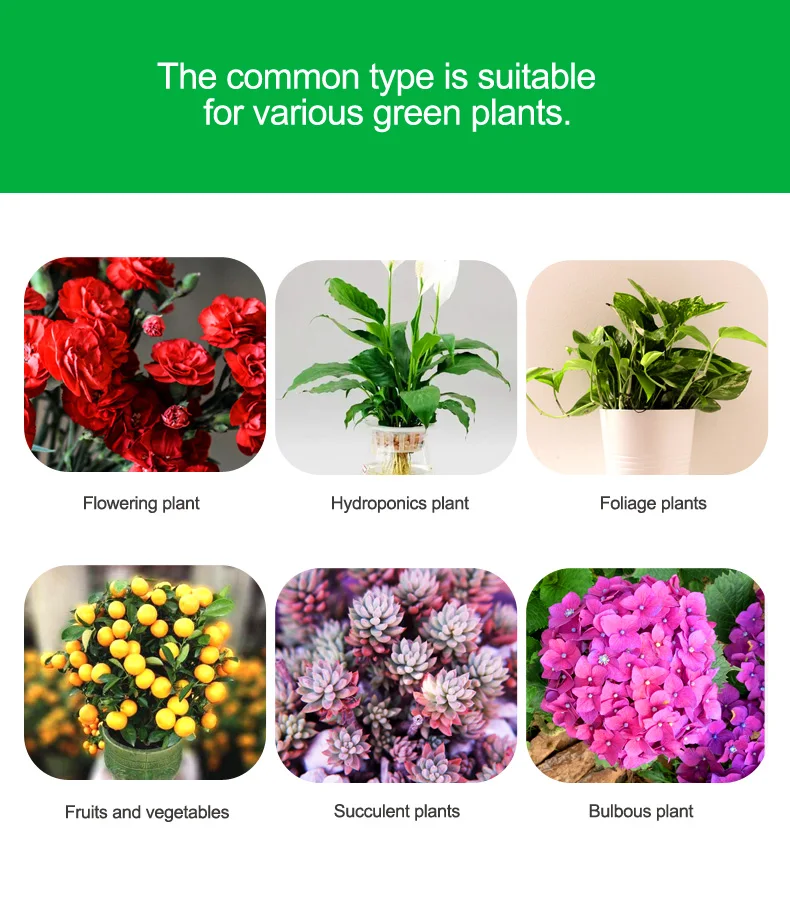 Promote Root Growth Prevent Rotting Jingxin Plant Nutrient Solution Boron Iron Calcium Zinc