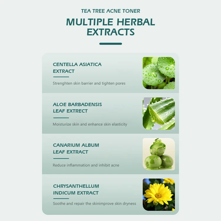 Perfectlink Private Label Skin Care Oil Control   Moisturizing Spray Anti-Acne Tea Tree Facial Toner Spray