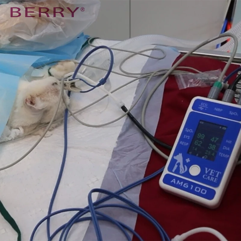 Veterinary Patient Monitor Blood Pressure Monitor hot sale Doppler Monitor Veterinary