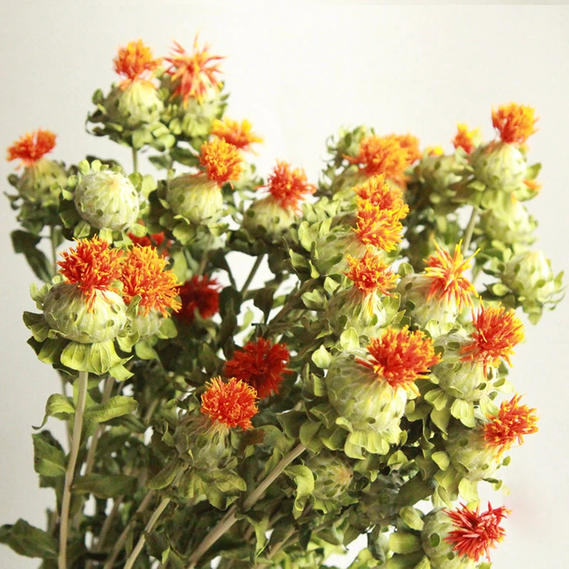 Оптовая продажа стабилизированный сушеный апельсин ананас картамамус tinctorius для высококачественного домашнего декора стен