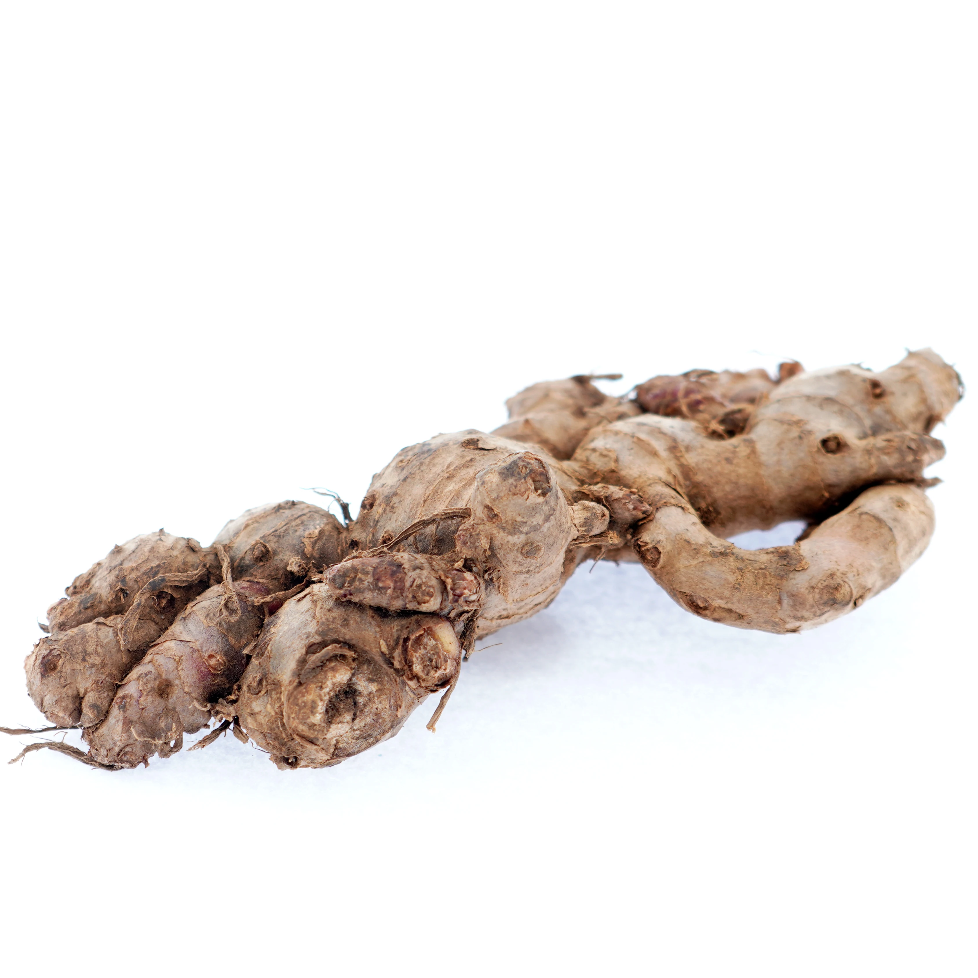 Competitive Price Indonesia Red Ginger Organic For Wholesale