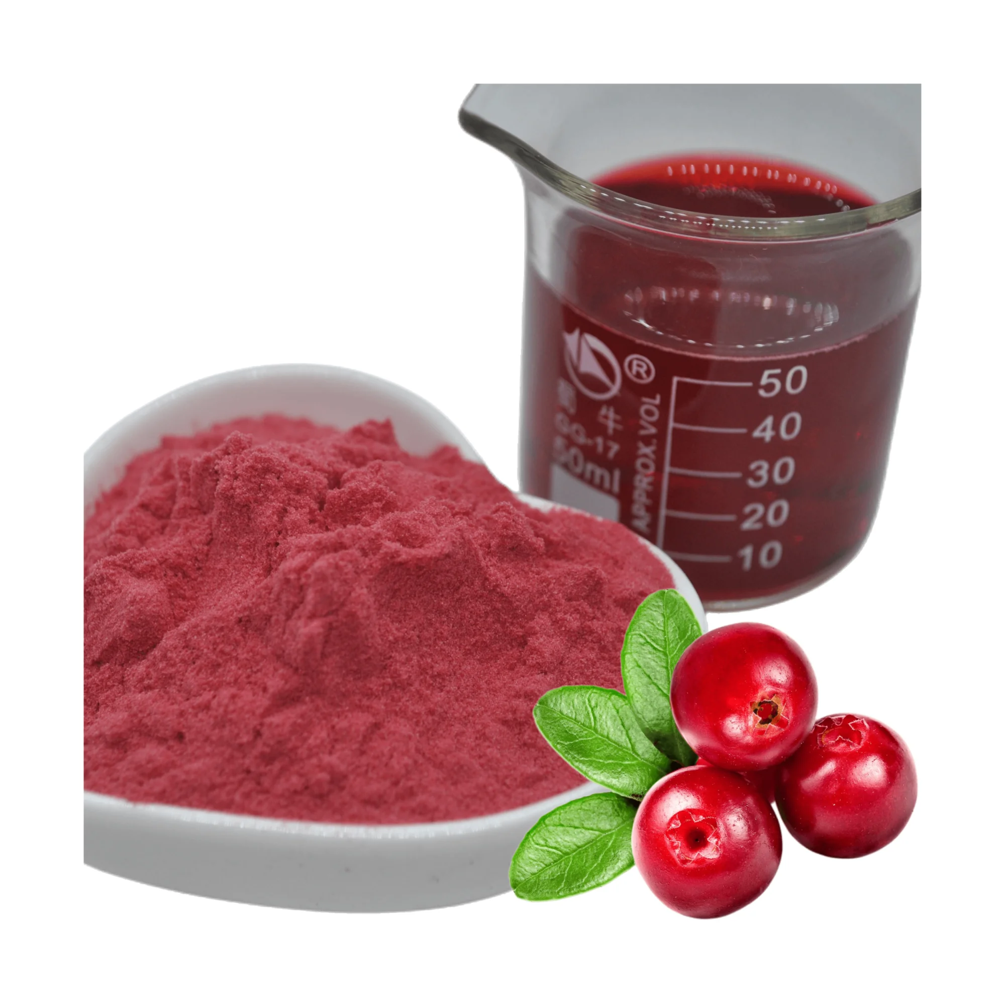 Factory Sales Healthy Food Added Plant Extract Spray Dried Cranberry Powder MYM03