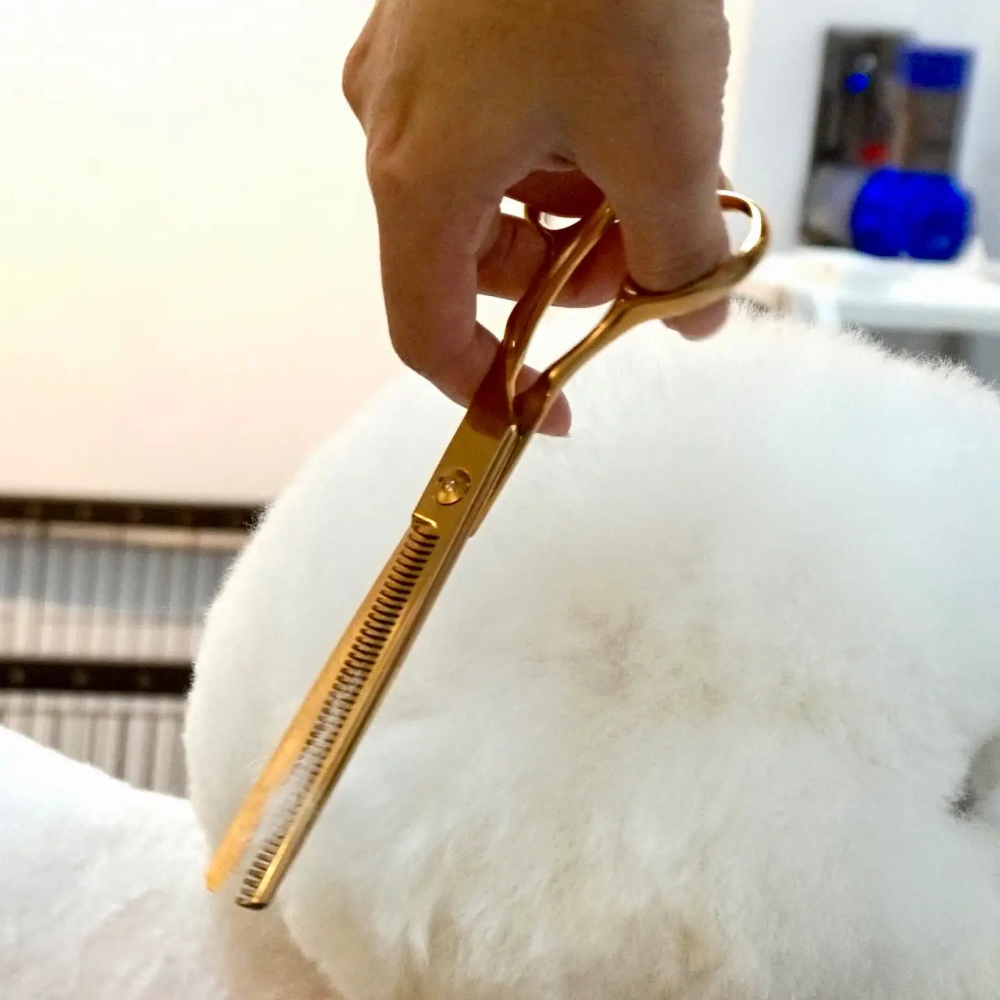 High Quality Titan Pet Grooming Scissor Pet Accessories