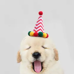 Dog Birthday Hat Pet Cat Dog Birthday  hat Reusable Headwear Bowknot Party Costume Perfect Dog Birthday Party Supplies