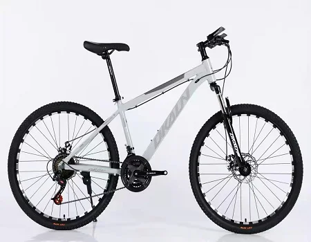 Sale Road Bikes Mountain Bicycle Custom  Color Bike