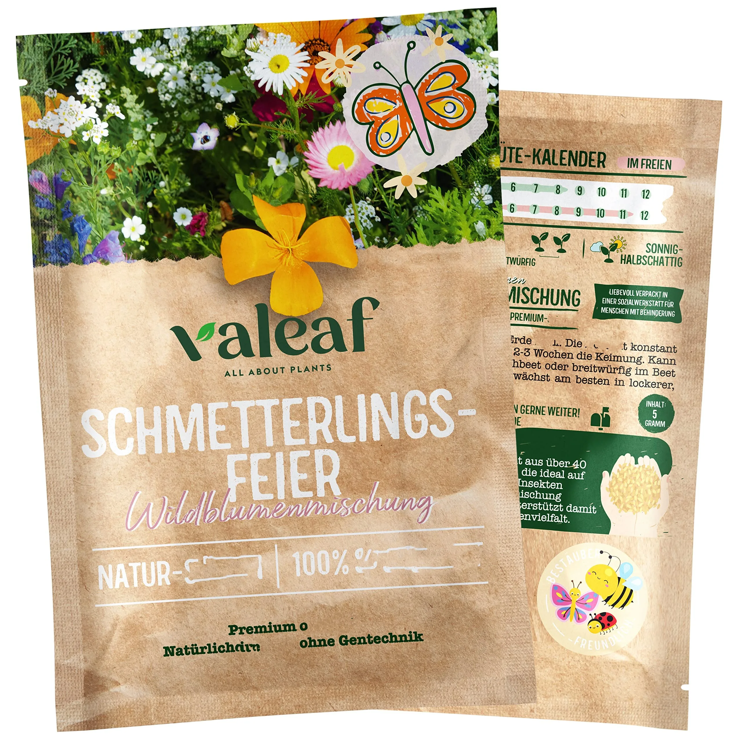 High Quality Wholesale Butterfly Meadow Flower for Outdoor or Indoor Garden