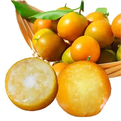 Wholesale high quality sour and sweet fresh kumquat