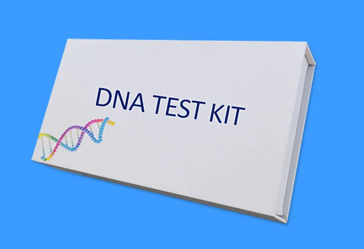 cisco c9500-dna clinic 20rapid with tube ningbo medical supplie