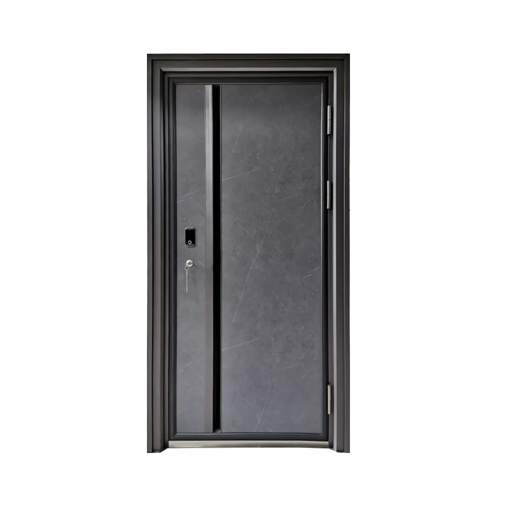 2025 House Exterior Front Entry Door Design Other Interior Aluminum Pivot Security Steel Doors for House with smart lock