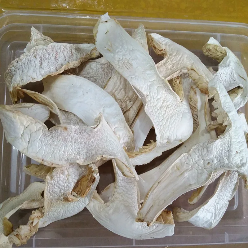 
Bulk Cheap Price Dried White Pine Mushroom Wild Tricholoma Matsutake 