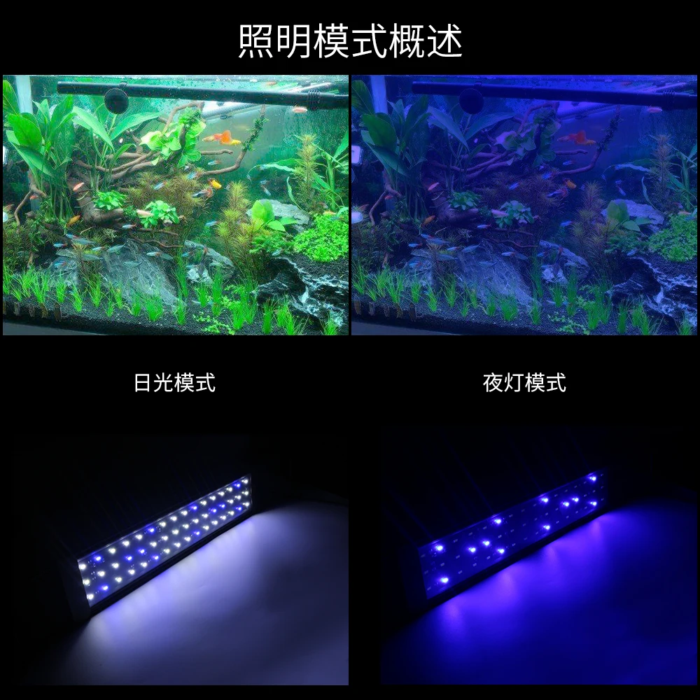 Raybow latest design 24w mini fish tanks clip marine reef full spectrum led aquarium lights lighting