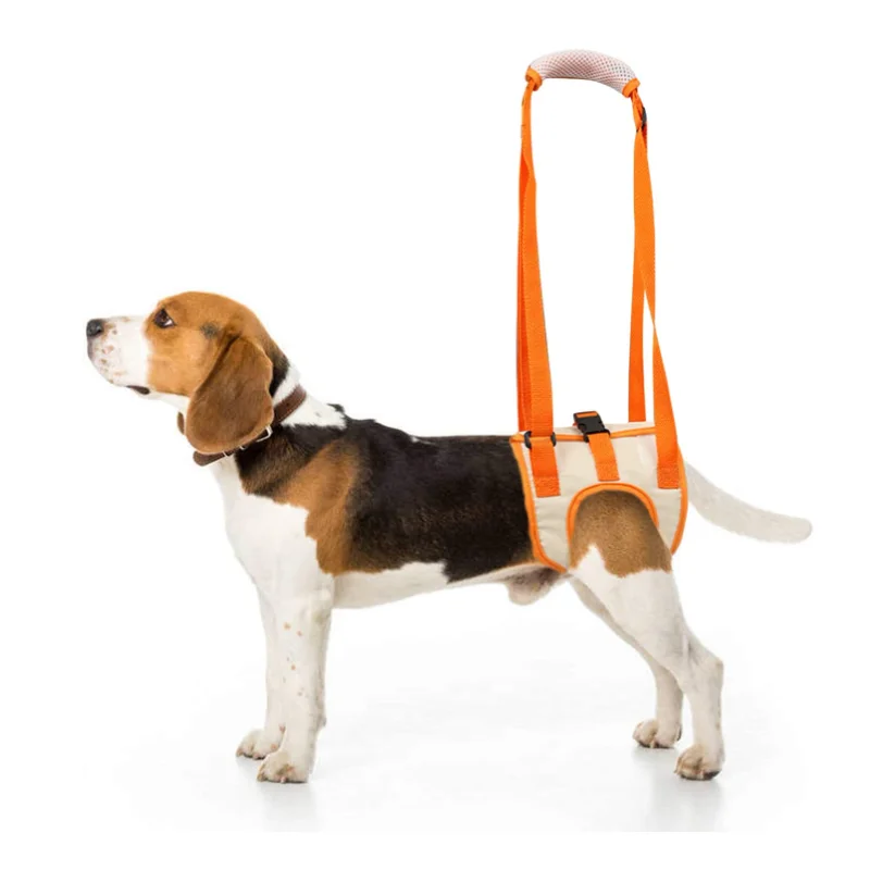 Dog Lift Harness Pet Rear Support Back Leg Hip Disabled Joint Injury Elderly and Arthritis ACL Rehabilitation Rehab